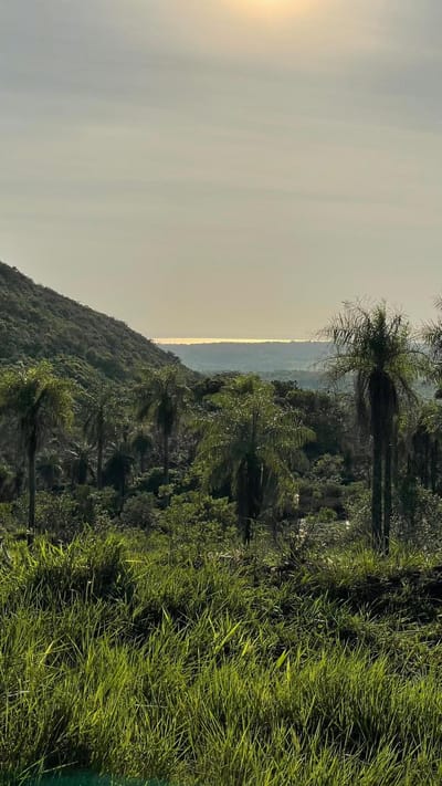 Vendo 20,3 hectáreas en Caacupe, Cordillera con naciente de agua y cerro