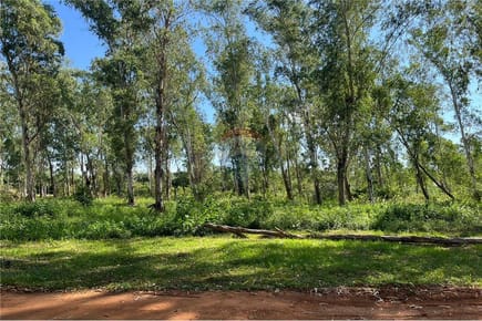 REMATO  HERMOSO Y AMPLIO TERRENO EN SANBER 
