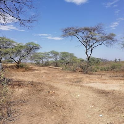 Venta De Terreno En Zona De Expansión Urbana - Las Lomas - Piura