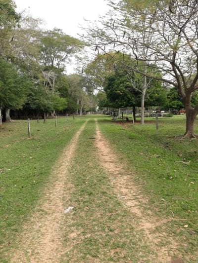 Campo Agricola, Ganadero Y Forestal En Venta | 4.091 Hectáreas | San Pedro, Py