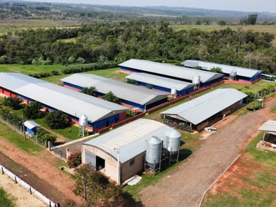 VENDO GRANJA PORCINA Y FRIGORIFICA - SOBRE 50 HECTAREAS