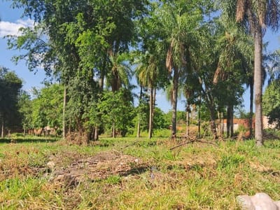 VENDO TERRENO EN LIMPIO COLONIA SALAZAR