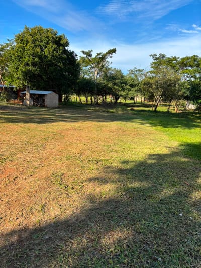 VENDO TERRENO EN LUQUE A POCAS CUADRAS DE LA RUTA LUQUE SAN BER