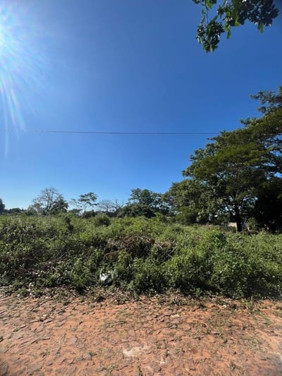 Vendo Terreno en Ñemby – Barrio Vista Alegre