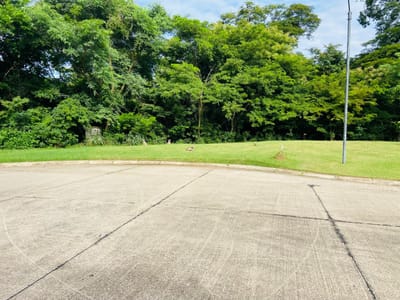 TERRENO EN VENTA - HACIENDA DEL URUBO 