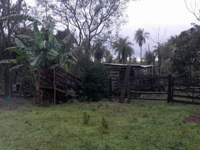 PROPIEDAD RURAL 8HA PARAGUARI 