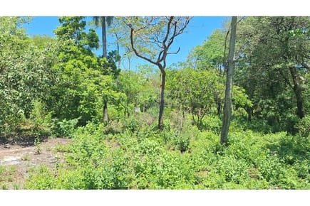 VENDO AMPLIO TERRENO EN SAN BERNARDINO CIERVO CUA