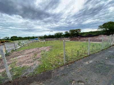 EN VENTA TERRENOS EN B° CERRADO ISLA BOGADO