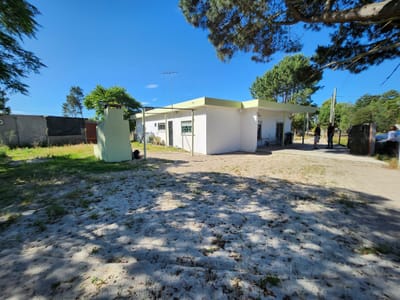 Excelente Amplia Casa Con Hermoso Entorno Natural Padrón único 855 M2