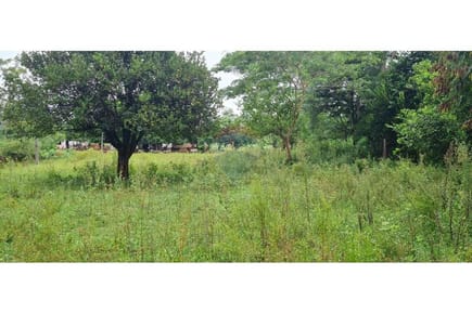 Terreno - Venta - Yaguarón, Paraguarí, Paraguay