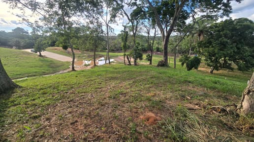 TERRENO EN VENTA EN COLINA LAS PALMERAS URUBO