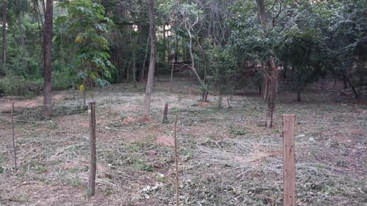 Terreno En Altura San Bernardino, Zona La Suiza