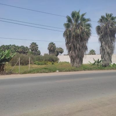 SE VENDE  HASEN NUEVO IMPERIAL CAETE  EN PUEBLO NUEVO DE CONTA