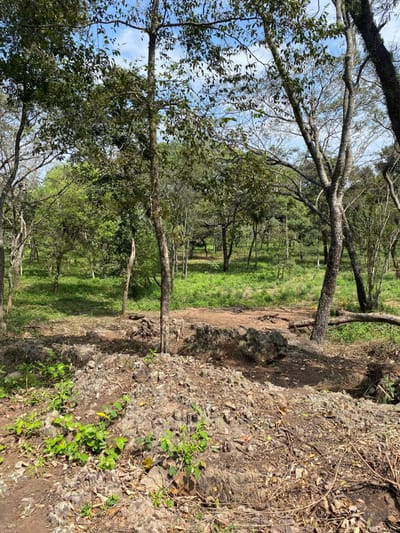 SAN BERNARDINO, ZONA ANFITEATRO, EN VENTA, TERRENO DE 1020 M2 