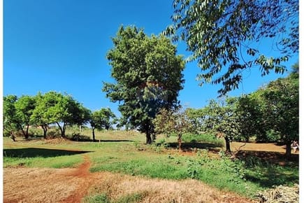 Terreno Vendo 1958 M2 en Tomás Romero Pereira