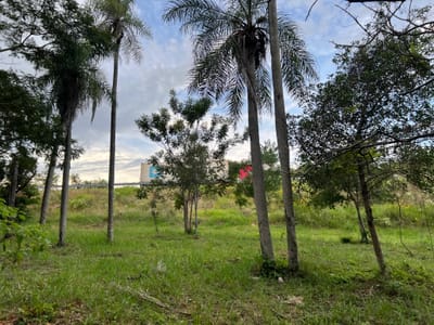 vendo 1 hectarea en caacupe Cerro Real