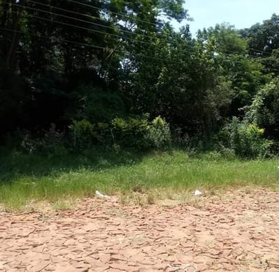VENDO DOS TERRENOS JUNTOS EN VILLA ELISA 