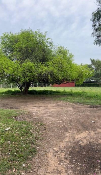 ALQUILO TERRENO SOBRE AV PRINCIPAL EN SANBER 