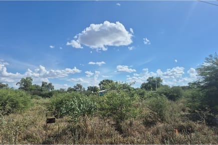 Filadelfia Boquerón 