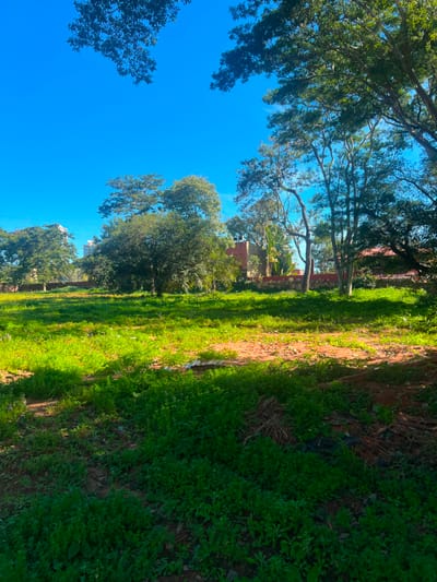 ALQUILO TERRENO EN MBURUCUYÁ 