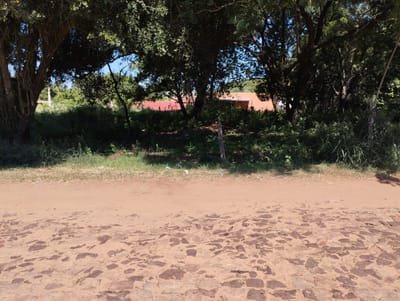 Vendo Terreno en Luque, Laurelty