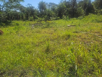 VENDO AMPLIO TERRENO DE 1440 M2 EN PINDOLO AREGUÁ