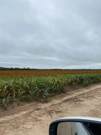 campo en venta
