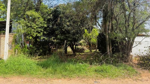TERRENO EN PALMA LOMA LUQUE