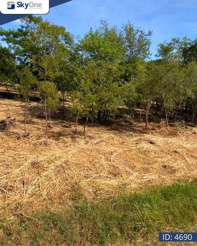 VENDO DOS TERRENOS JUNTOS/SEPARADOS EN SURUBI’I