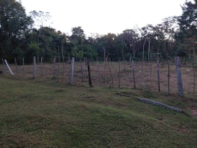 Terreno en venta – 1° de Marzo, Arroyos y Esteros