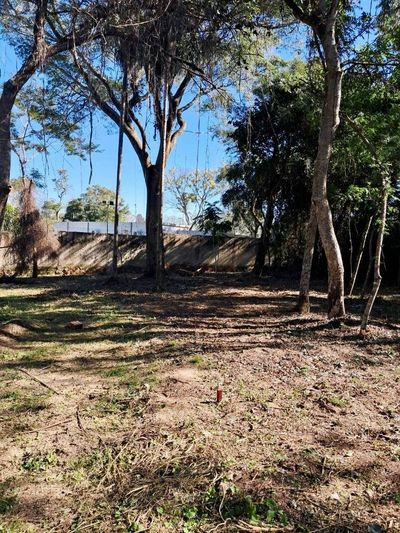 VENDO TERRENO EN SAN BERNARDINO BARRIO CRISTÓBAL COLÓN 
