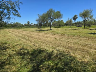 Oportunidad de inversión en Chaco´i/ Nueva Asunción! 3 terrenos en venta