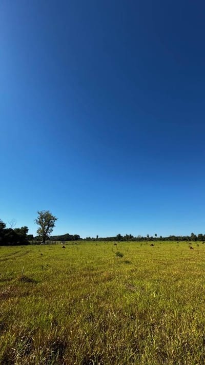 LOTEAMIENTO EN VENTA 