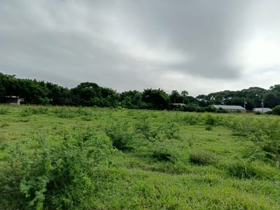 TERRENO EN VENTA