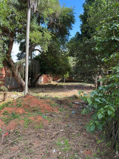 VENDO TERRENO IDEAL PARA TU VIVIENDA EN LUQUE