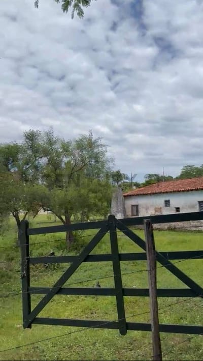 Vendo Granja De 51 Has En Caacupe