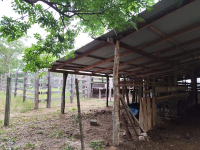 Propiedad En Alquiler O Venta