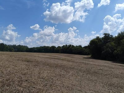 Vendo 16 hecatiarias 