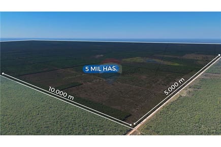 En Venta -Estancia/Campo -Teniente Esteban Martínez, Presidente Hayes, Paraguay