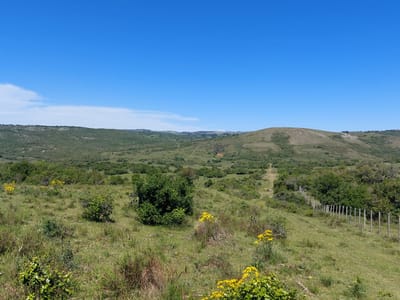 Venta Aigua Campo 100 has