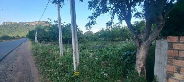 VENDO Terreno 4910 m2 sobre ruta - Paraguari
