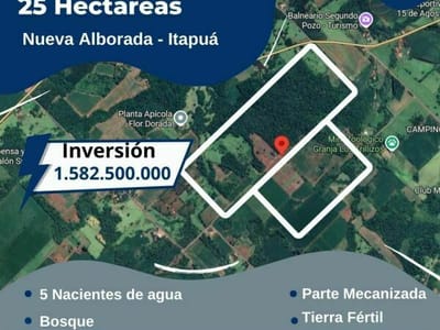 TERRENO DE 25 HECTÁREAS EN NUEVA ALBORADA – ITAPÚA