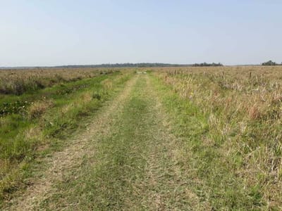 VENDO CAMPO AGRICOLA EN SAN PEDRO
