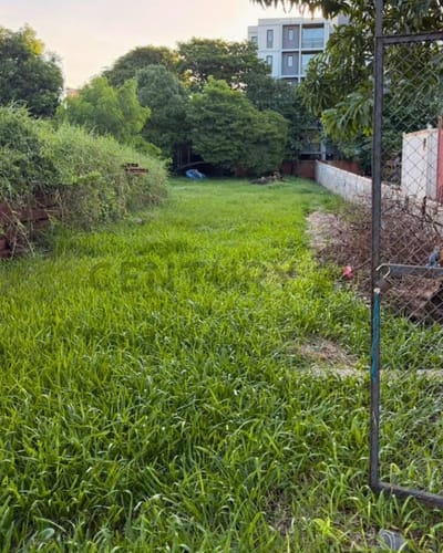 TERRENO EN VENTA EN LUQUE