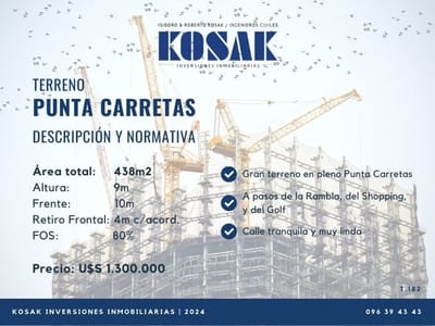 Terreno Punta Carretas