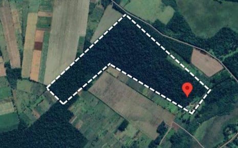 EN VENTA AMPLIA ESTANCIA DE 60 HAS EN SAN JOAQUIN CAAGUAZU