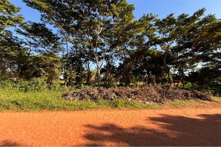 VENTA DE TERRENO 3750 m² , CAPIATÁ