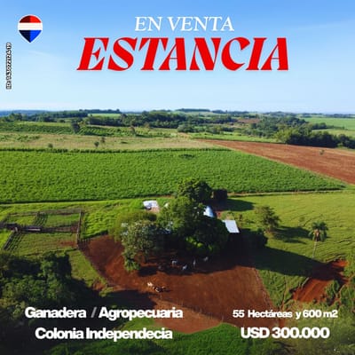 ESTANCIA GANADERA Y AGROPECUARIA.