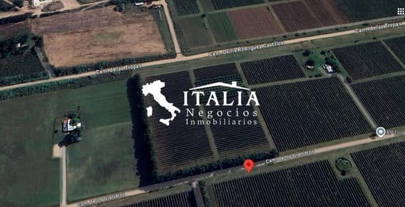 TERRENO 5 HECTAREAS CON PLANTACIÓN DE VIÑEDO