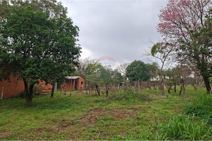 Terreno Ideal en San Bernardino: ¡Invierte Hoy!